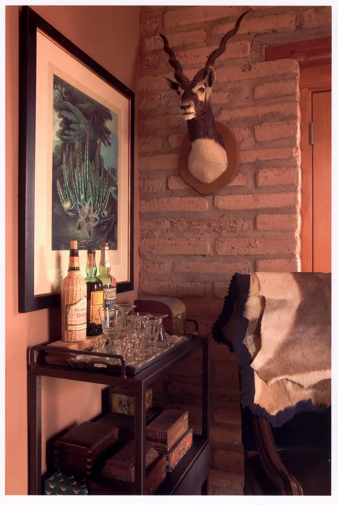Adobe Views - Catalina Foothills by Stellar Gray Fine Homes - Photo 4