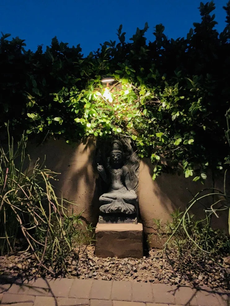 Adobe Views - Catalina Foothills by Stellar Gray Fine Homes - Photo 36