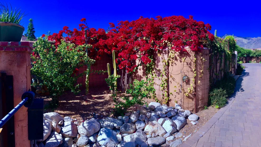 Adobe Views - Catalina Foothills by Stellar Gray Fine Homes - Photo 26