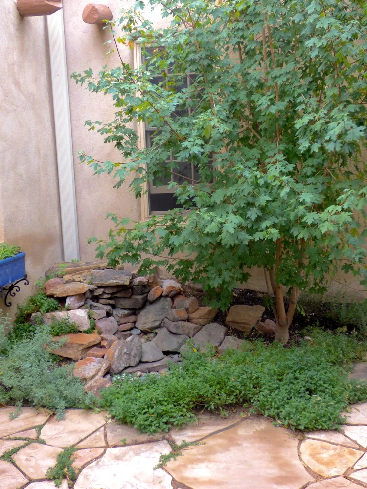 Xeric courtyard by Waterwise Landscapes Incorporated - Photo 10