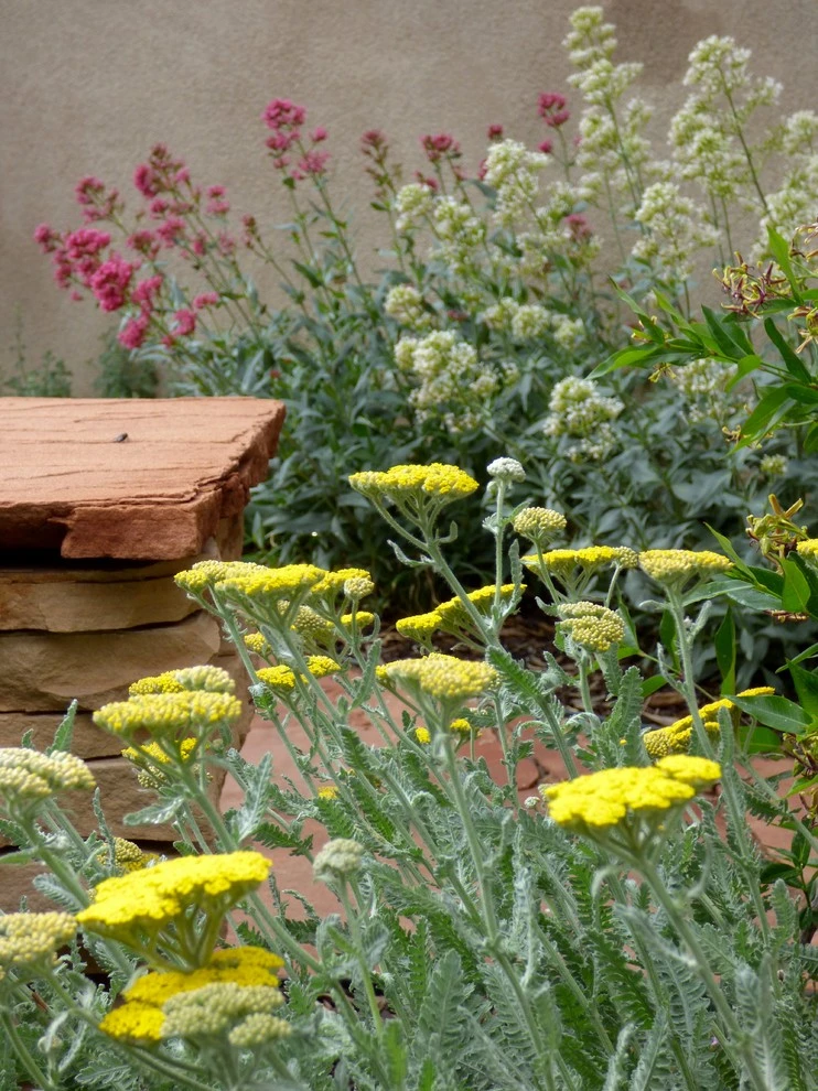 Waterwise Landscapes office by Waterwise Landscapes Incorporated - Photo 5