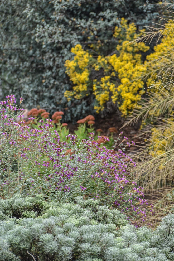 Valley backyard by Waterwise Landscapes Incorporated - Photo 112