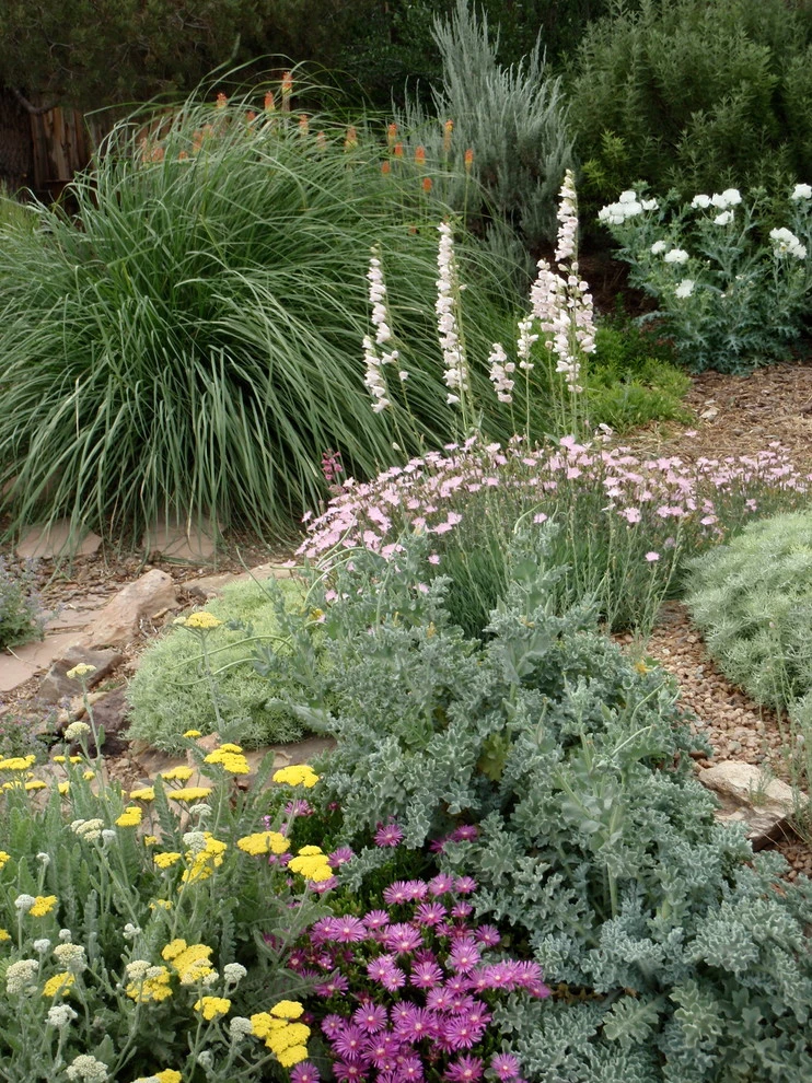 Valley backyard by Waterwise Landscapes Incorporated - Photo 29