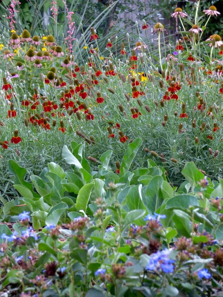 Valley backyard by Waterwise Landscapes Incorporated - Photo 80