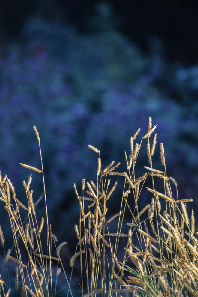 Valley backyard by Waterwise Landscapes Incorporated - Photo 123