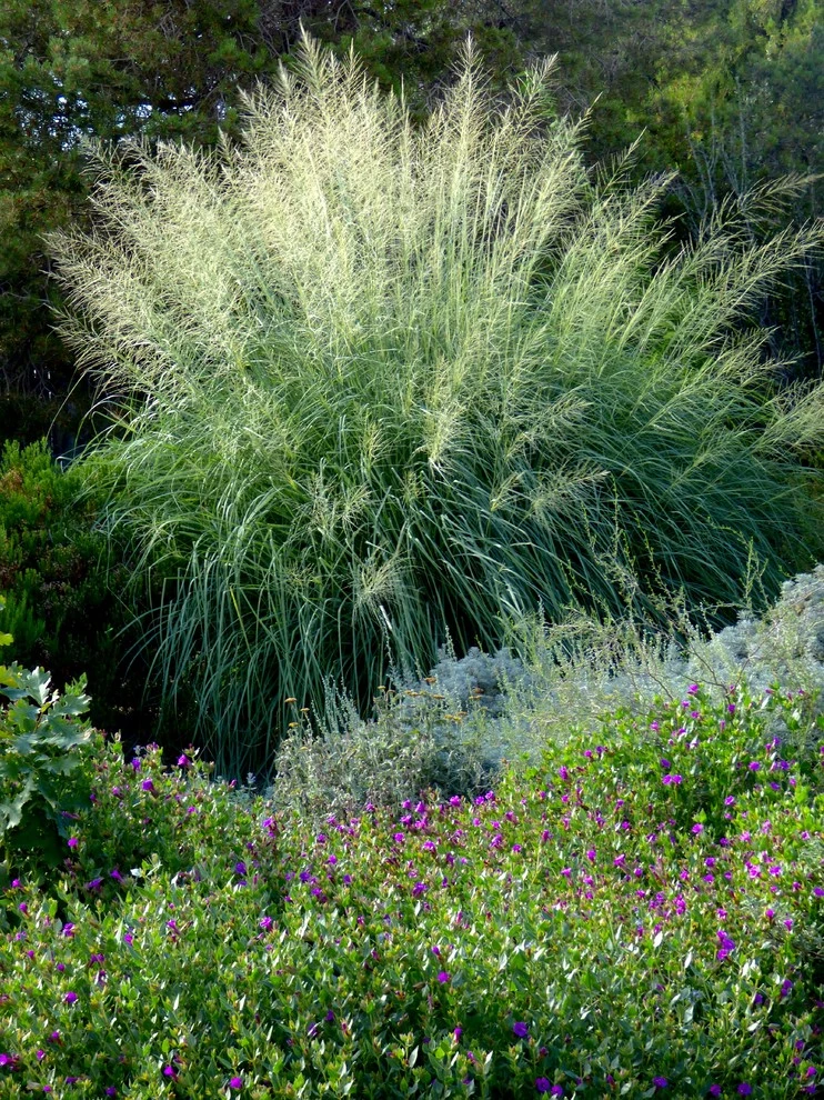 Valley backyard by Waterwise Landscapes Incorporated - Photo 99