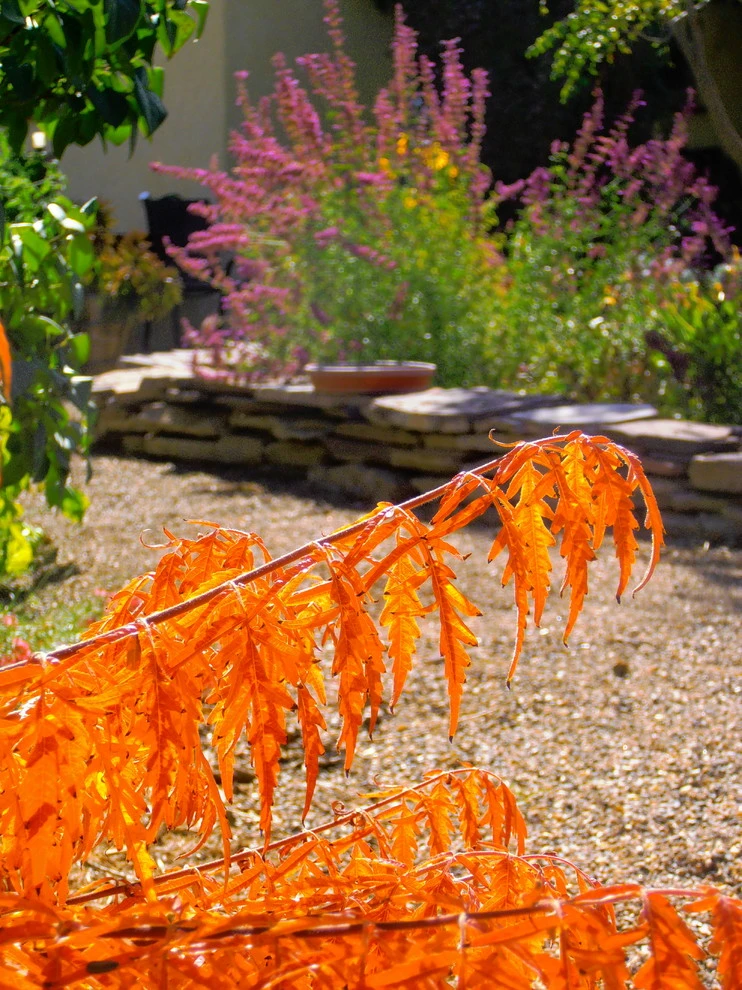 Valley backyard by Waterwise Landscapes Incorporated - Photo 66