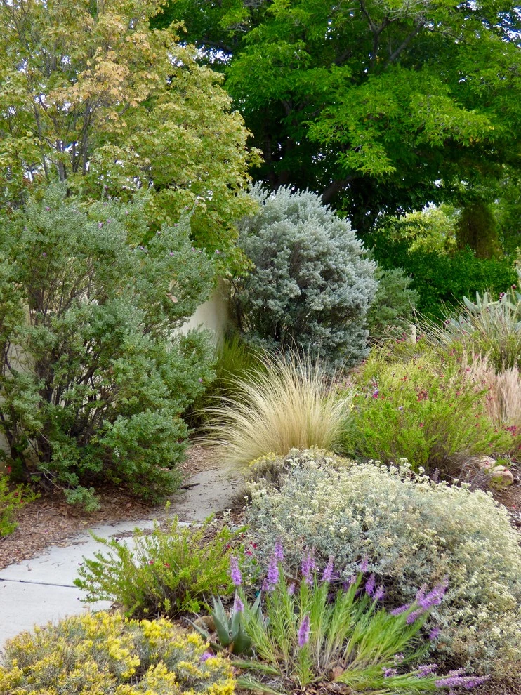 Valley backyard by Waterwise Landscapes Incorporated - Photo 162