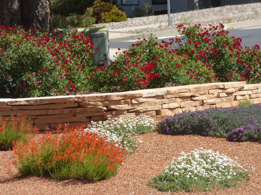 Lomas & Tramway by Waterwise Landscapes Incorporated - Photo 10