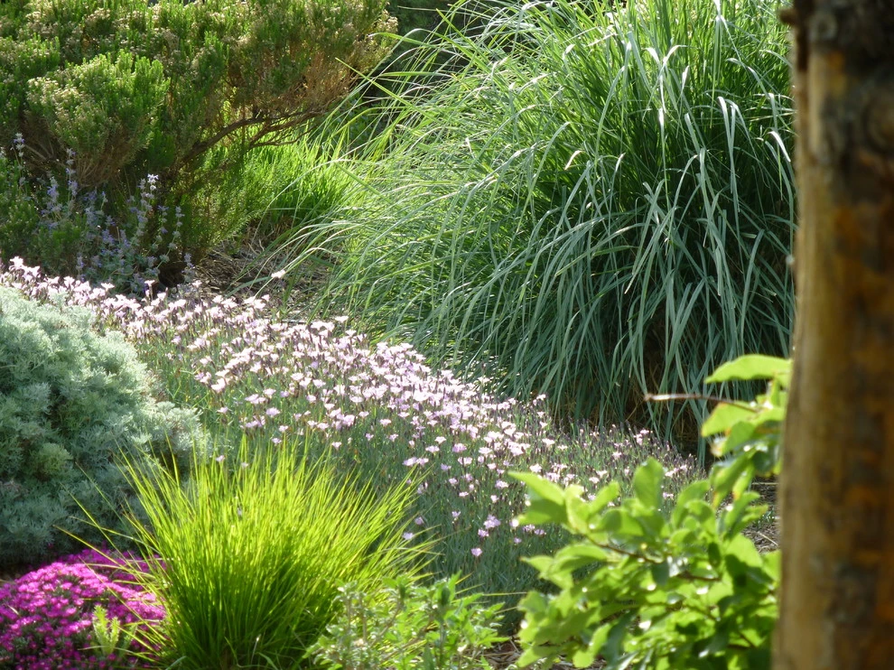 Valley backyard by Waterwise Landscapes Incorporated - Photo 171