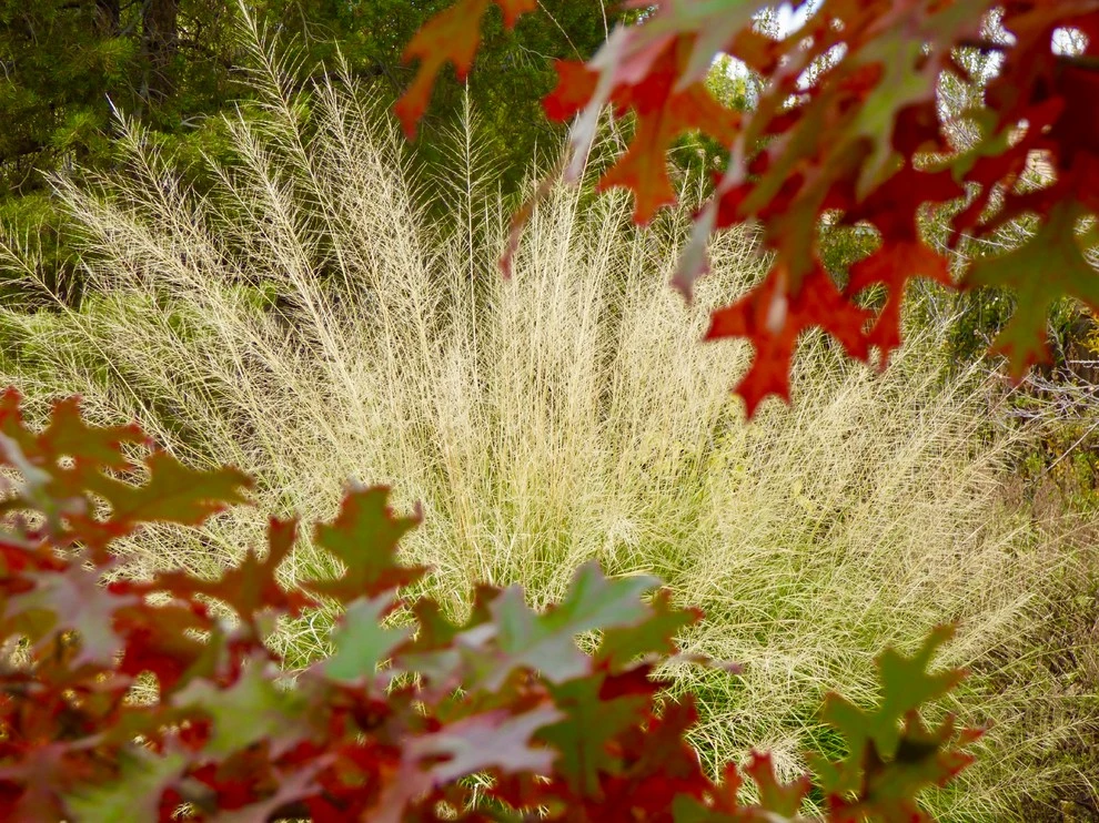 Valley backyard by Waterwise Landscapes Incorporated - Photo 16
