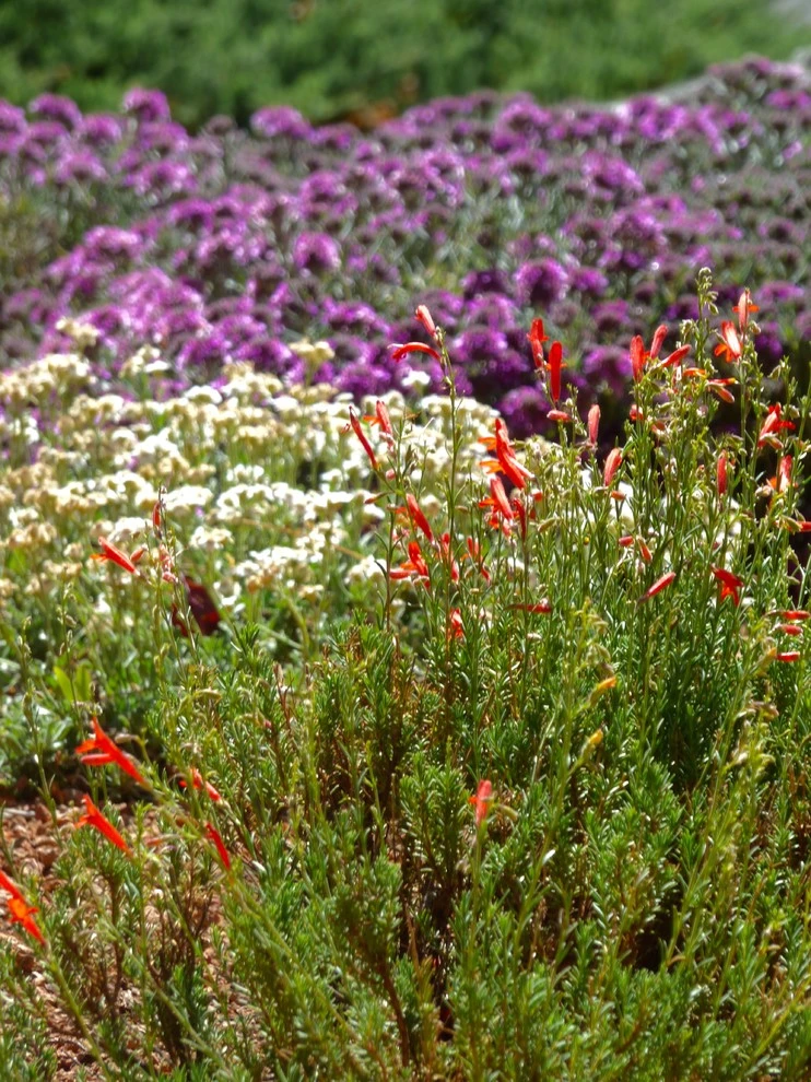 Waterwise Landscapes Incorporated - Photo 5