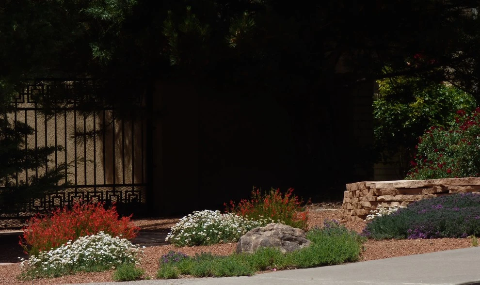 Lomas & Tramway by Waterwise Landscapes Incorporated - Photo 12