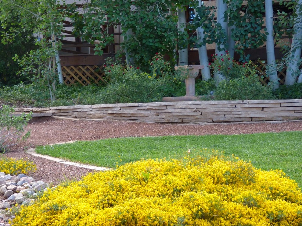 Lomas & Tramway by Waterwise Landscapes Incorporated - Photo 5
