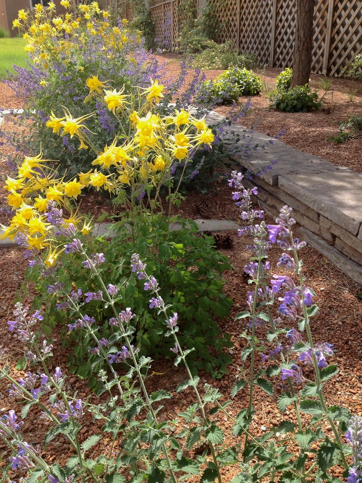 Waterwise Landscapes Incorporated - Photo 8