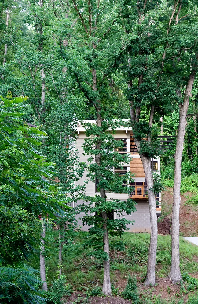 Asheville Getaway by B.O.B. - Beyond Ordinary Boundaries Architecture - Photo 10