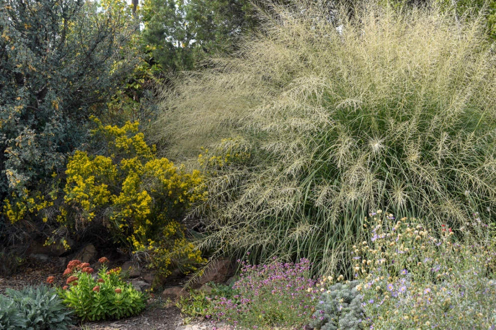 Valley backyard by Waterwise Landscapes Incorporated - Photo 40