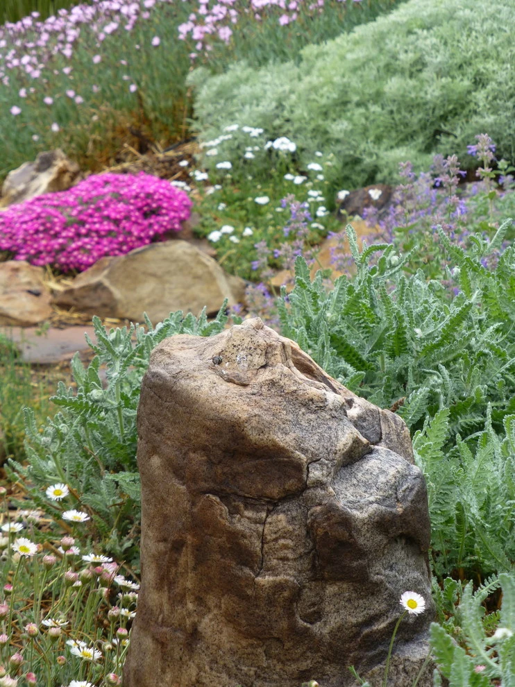 Valley backyard by Waterwise Landscapes Incorporated - Photo 54