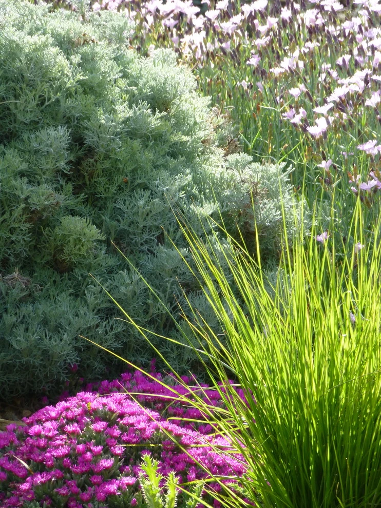Valley backyard by Waterwise Landscapes Incorporated - Photo 84