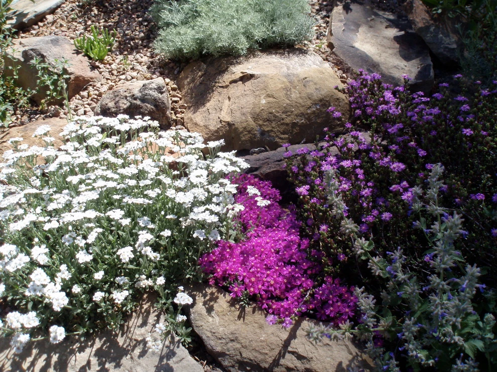 Waterwise Landscapes Incorporated - Photo 2