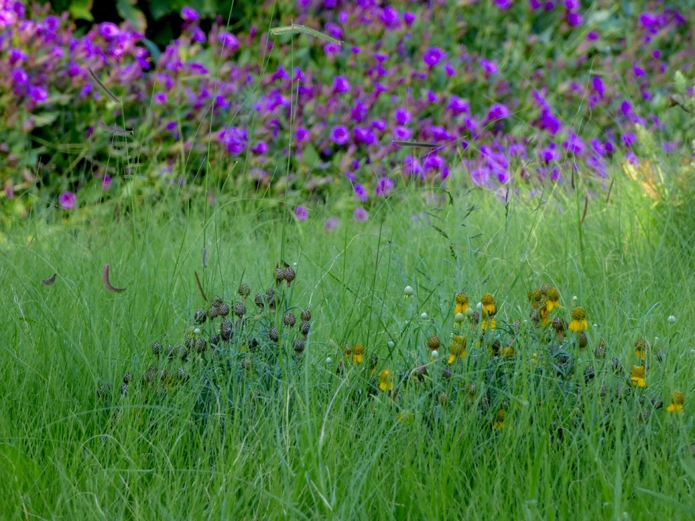 Valley backyard by Waterwise Landscapes Incorporated - Photo 26