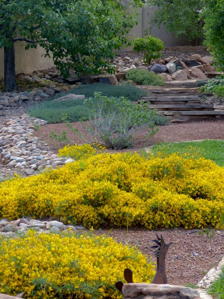Lomas & Tramway by Waterwise Landscapes Incorporated - Photo 9