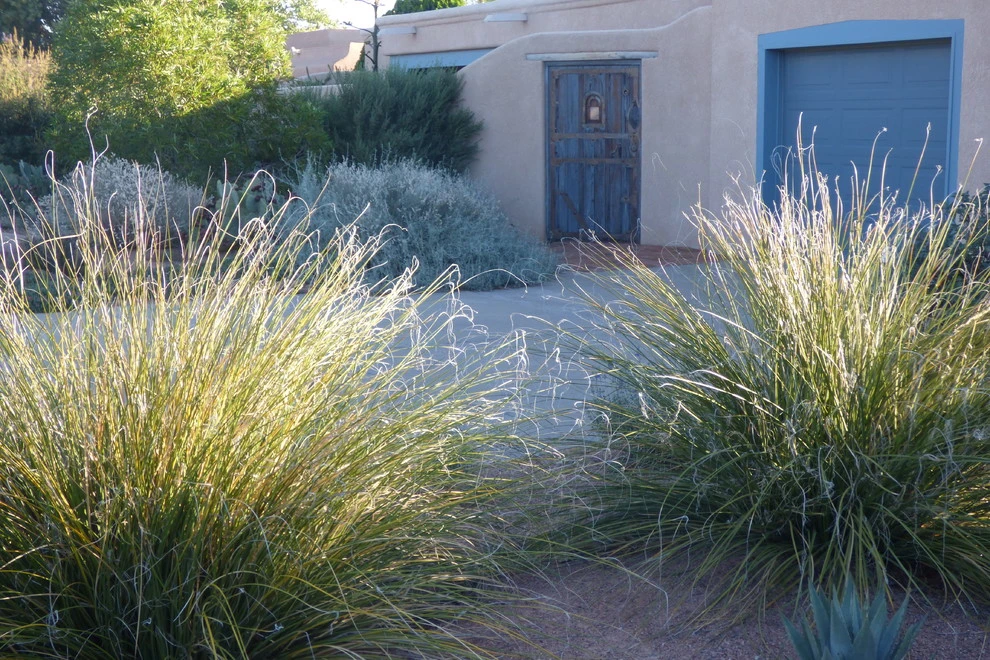 Valley xeric by Waterwise Landscapes Incorporated - Photo 4