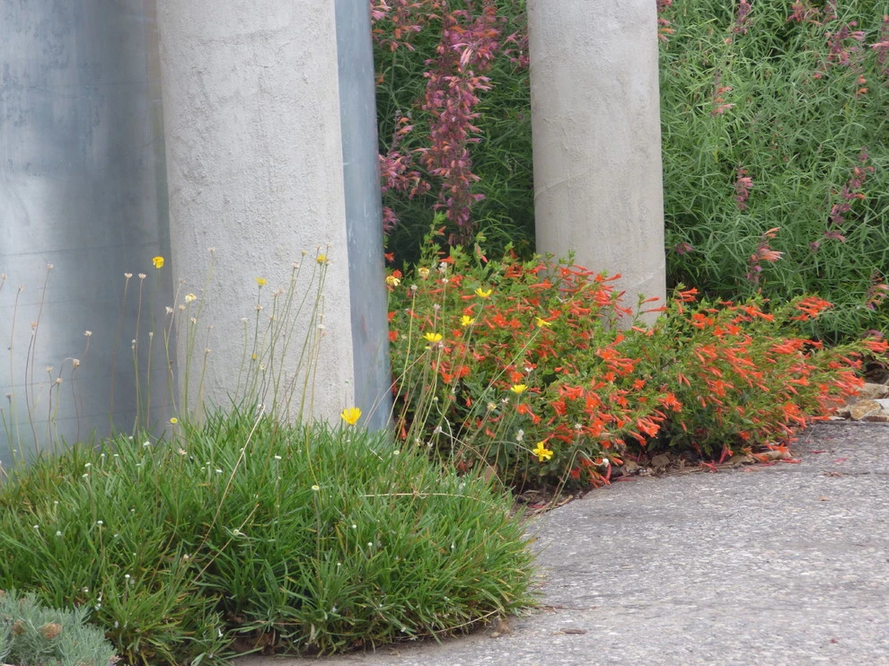 Waterwise Landscapes office by Waterwise Landscapes Incorporated - Photo 2