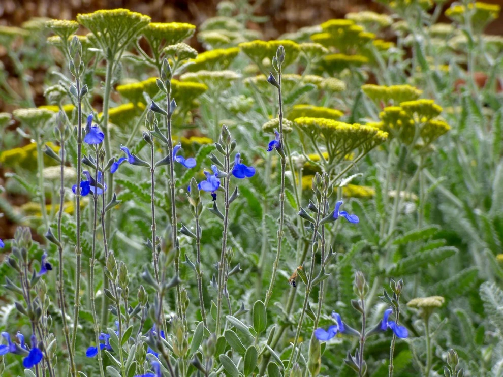 Waterwise Landscapes office by Waterwise Landscapes Incorporated - Photo 9