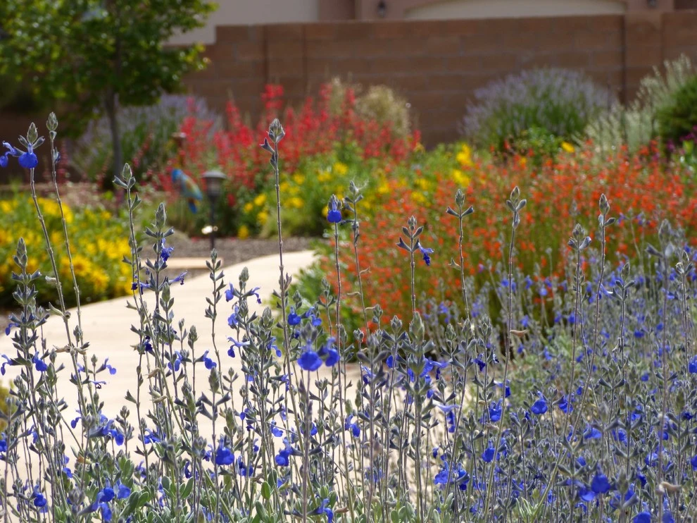 North Albuquerque Acres by Waterwise Landscapes Incorporated - Photo 3