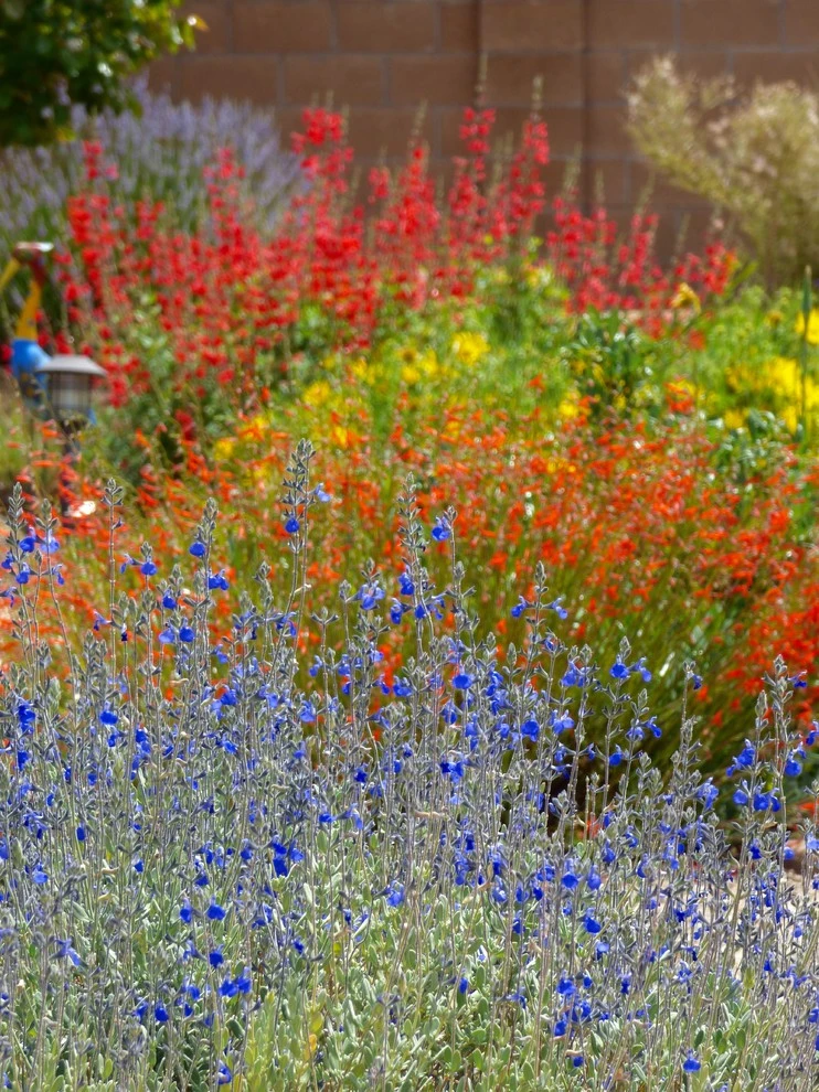 North Albuquerque Acres by Waterwise Landscapes Incorporated - Photo 6