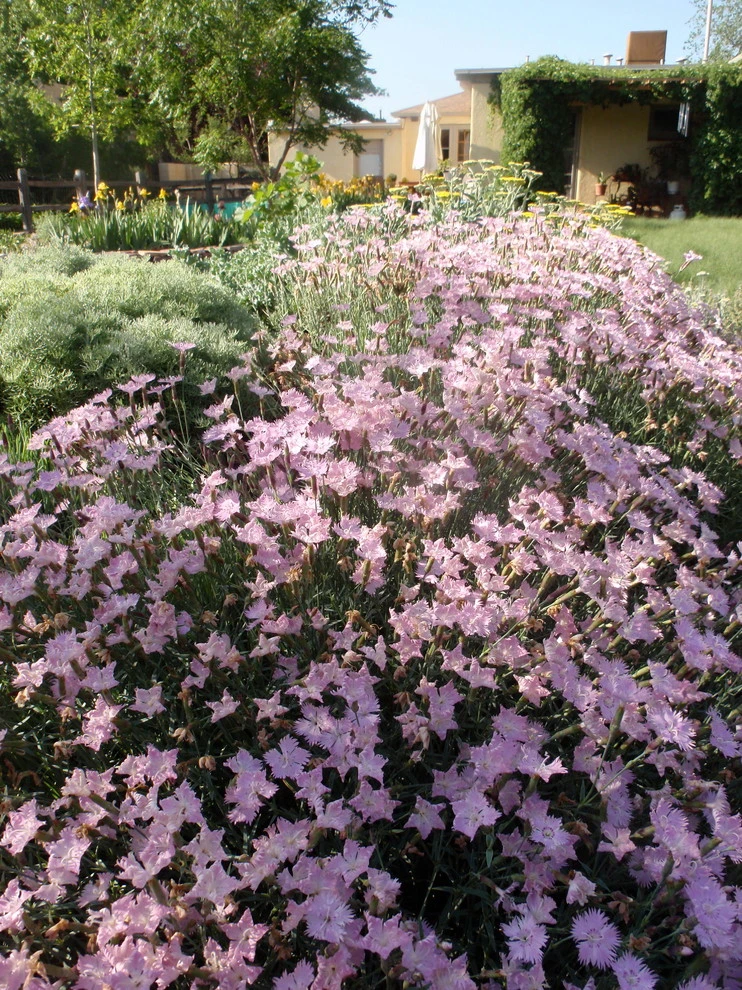 Valley backyard by Waterwise Landscapes Incorporated - Photo 116