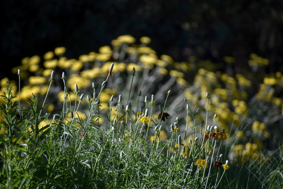 Valley backyard by Waterwise Landscapes Incorporated - Photo 101