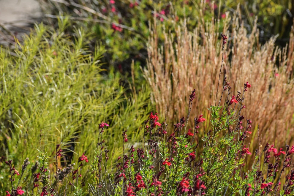 Valley backyard by Waterwise Landscapes Incorporated - Photo 169