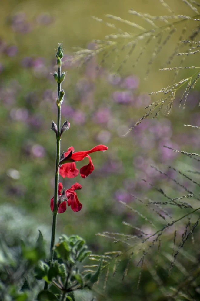 Valley backyard by Waterwise Landscapes Incorporated - Photo 45