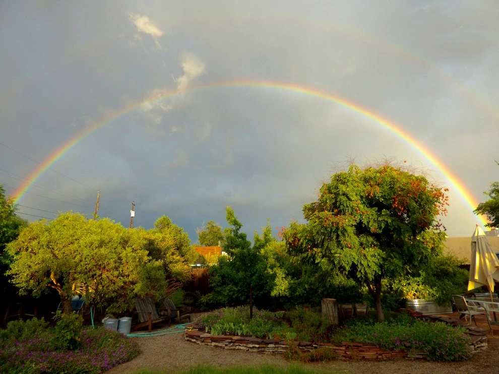 Valley backyard by Waterwise Landscapes Incorporated - Photo 87