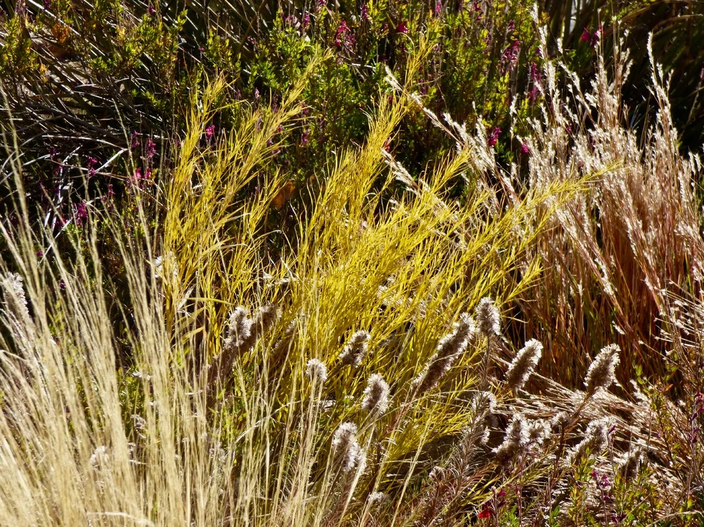 Valley backyard by Waterwise Landscapes Incorporated - Photo 95