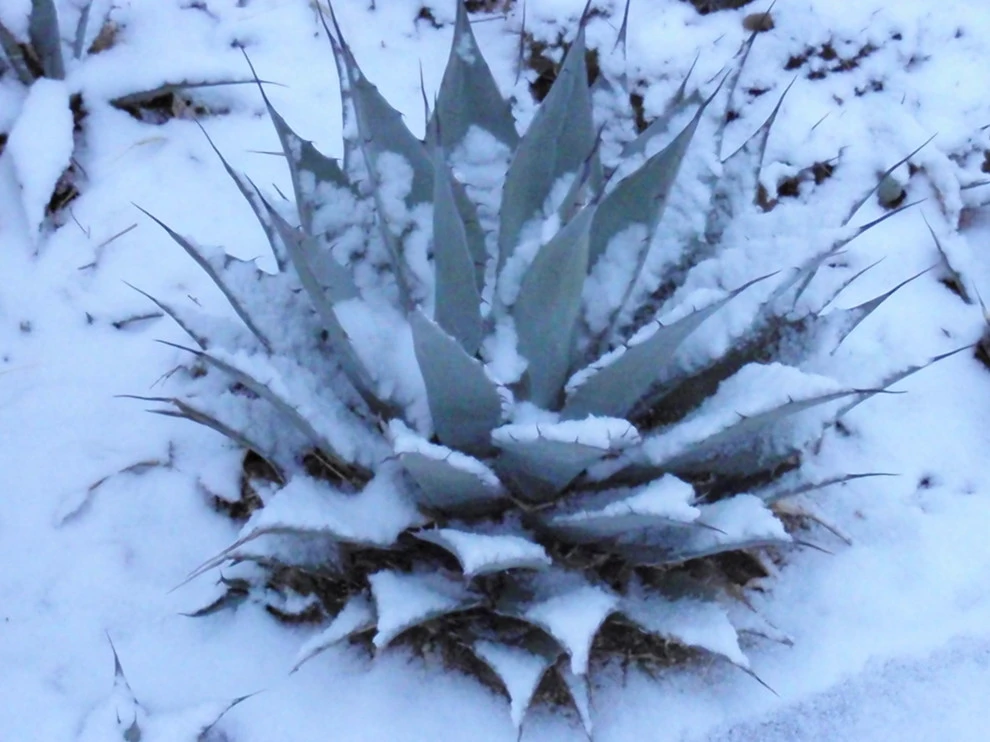 Valley backyard by Waterwise Landscapes Incorporated - Photo 134