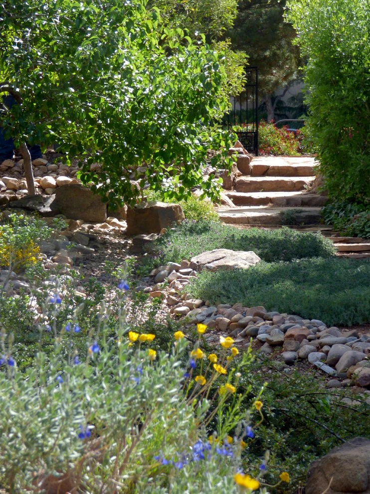 Lomas & Tramway by Waterwise Landscapes Incorporated - Photo 13
