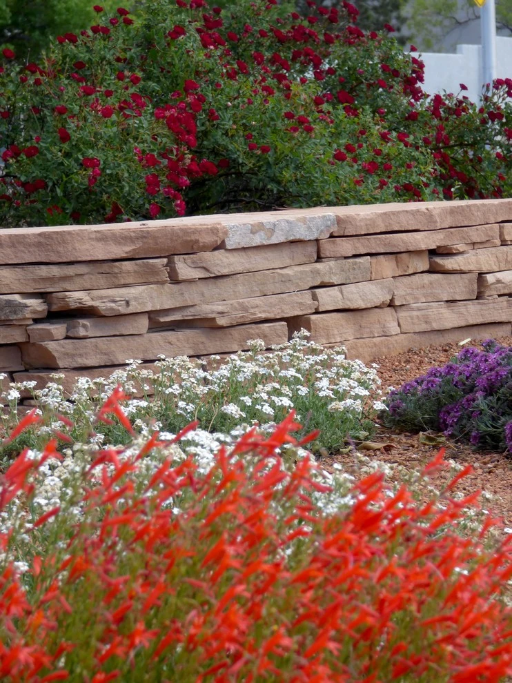 Lomas & Tramway by Waterwise Landscapes Incorporated - Photo 6