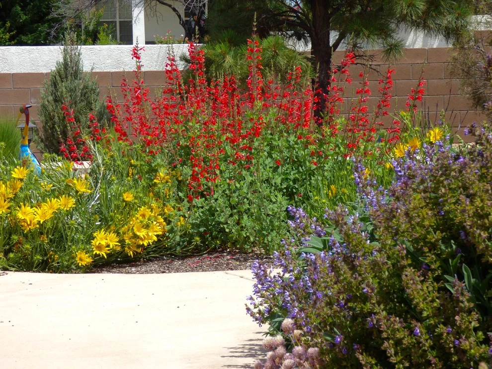 North Albuquerque Acres by Waterwise Landscapes Incorporated - Photo 5