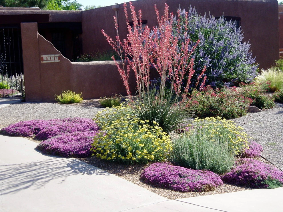 Matthew Meadows by Waterwise Landscapes Incorporated - Photo 5
