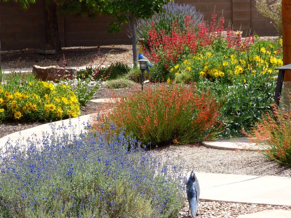 North Albuquerque Acres by Waterwise Landscapes Incorporated - Photo 4