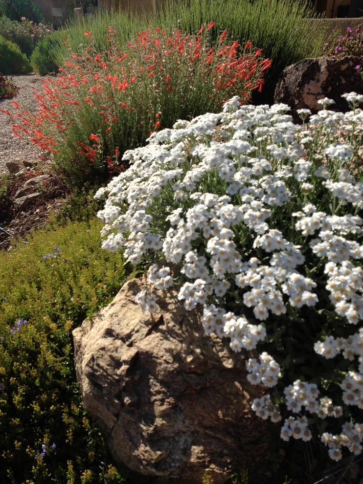Matthew Meadows by Waterwise Landscapes Incorporated - Photo 2