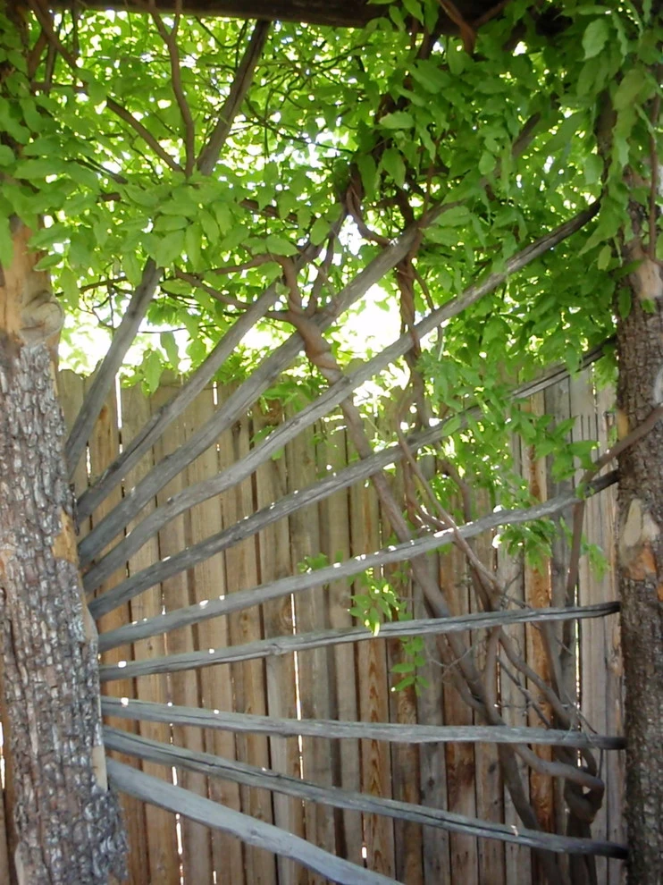 Valley backyard by Waterwise Landscapes Incorporated - Photo 136