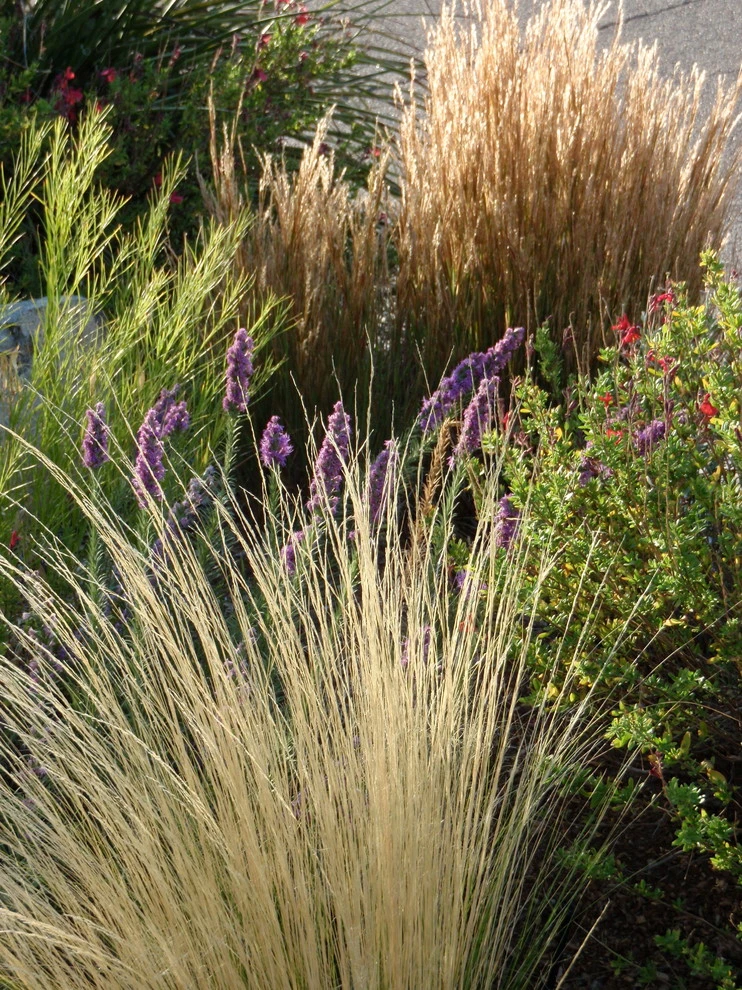 Valley backyard by Waterwise Landscapes Incorporated - Photo 63