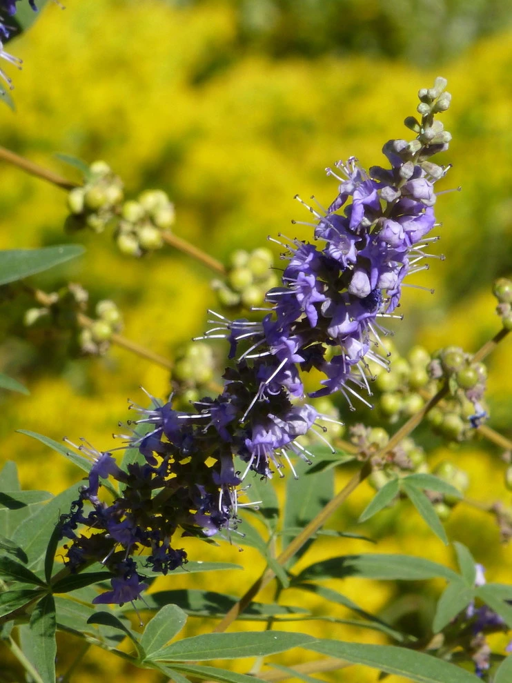 Waterwise Landscapes Incorporated - Photo 9