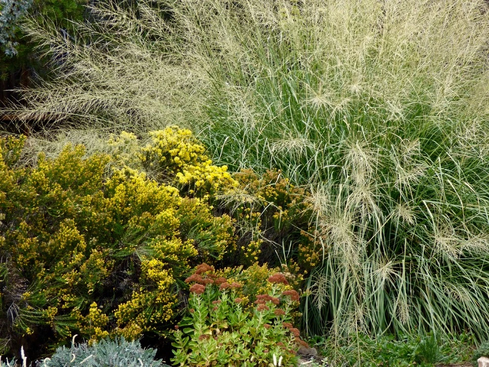 Valley backyard by Waterwise Landscapes Incorporated - Photo 168