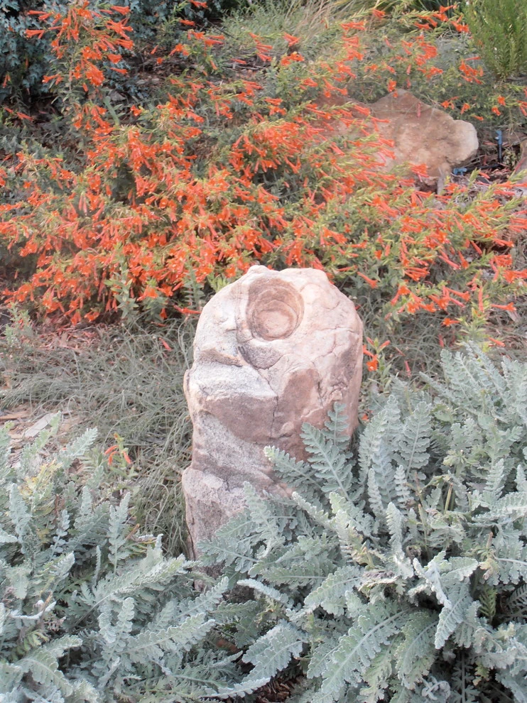 Valley backyard by Waterwise Landscapes Incorporated - Photo 73