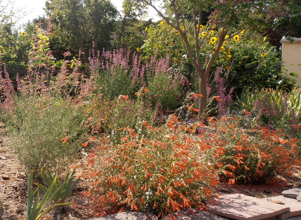 Valley backyard by Waterwise Landscapes Incorporated - Photo 141